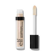 Cargar imagen en el visor de la galería, LIP PLUMPING LIP GLOSS